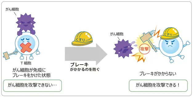 免疫チェックポイント阻害薬のしくみ