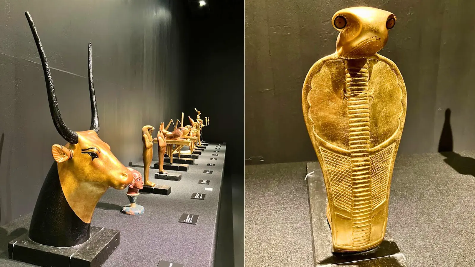 ミステリー・オブ・ツタンカーメン展示品