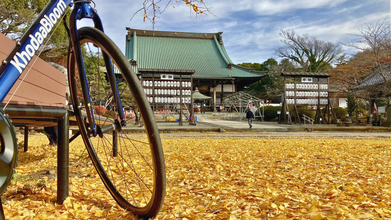 自転車の前輪とイチョウの落ち葉